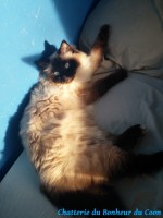 /album/scar/scar-1-jpg/